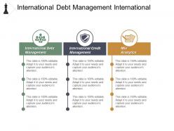 International debt management international credit management mix analytics cpb