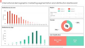 International Demographic Marketing Segmentation And Distribution Dashboard