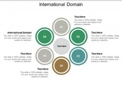 International domain ppt powerpoint presentation portfolio samples cpb