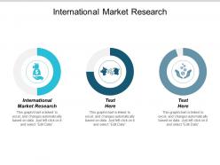 International market research ppt powerpoint presentation diagrams cpb
