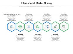 International market survey ppt powerpoint presentation icon layout cpb