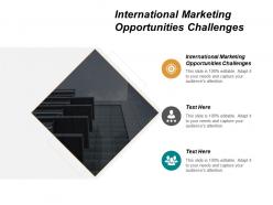 International marketing opportunities challenges ppt powerpoint presentation inspiration pictures cpb