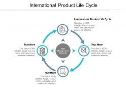 International product life cycle ppt powerpoint presentation pictures rules cpb