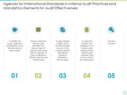 International standards in internal audit practices and mandatory elements for audit effectiveness complete deck