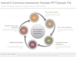 Internet e commerce assessment template ppt example file