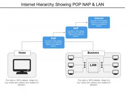 Internet hierarchy showing pop nap and lan