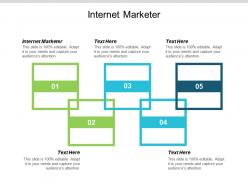 Internet marketer ppt powerpoint presentation portfolio tips cpb
