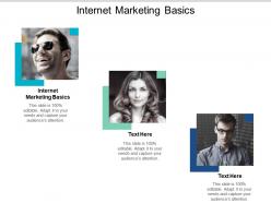 Internet marketing basics ppt powerpoint presentation outline example introduction cpb