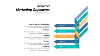 Internet marketing objectives ppt powerpoint presentation portfolio sample cpb