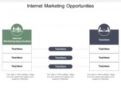 Internet marketing opportunities ppt powerpoint presentation pictures background cpb