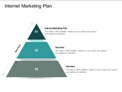 Internet marketing plan ppt powerpoint presentation infographic template examples cpb