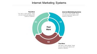 Internet marketing systems ppt powerpoint presentation portfolio shapes cpb