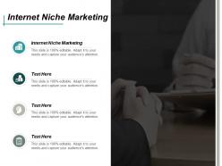Internet niche marketing ppt powerpoint presentation infographic template files cpb