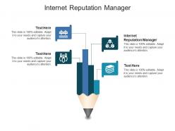 Internet reputation manager ppt powerpoint presentation show format cpb