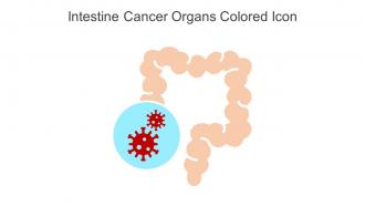 Intestine Cancer Organs Colored Icon In Powerpoint Pptx Png And Editable Eps Format
