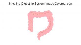 Intestine Digestive System Image Colored Icon In Powerpoint Pptx Png And Editable Eps Format