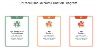 Intracellular Calcium Function Diagram In Powerpoint And Google Slides Cpb