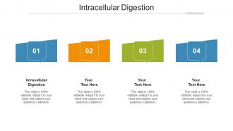Intracellular Digestion Ppt Powerpoint Presentation File Elements Cpb