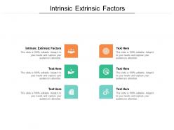 Intrinsic extrinsic factors ppt powerpoint presentation professional inspiration cpb