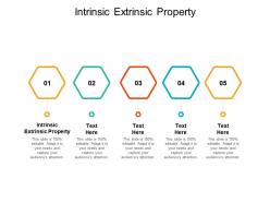 Intrinsic extrinsic property ppt powerpoint presentation slides download cpb