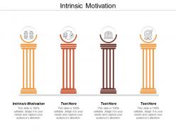 Intrinsic motivation ppt powerpoint presentation file formats cpb