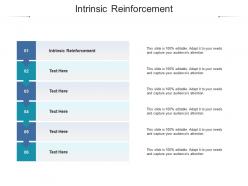 Intrinsic reinforcement ppt powerpoint presentation model vector cpb