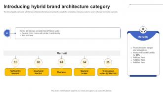 Introducing Hybrid Brand Architecture Category