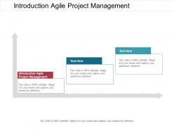 Introduction agile project management ppt powerpoint presentation file visual aids cpb