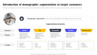 Introduction Of Demographic Segmentation Types Of Customer Segmentation