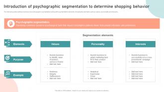 Introduction Of Psychographic Segmentation Customer Segmentation Targeting And Positioning