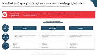 Introduction Of Psychographic Segmentation Developing Marketing And Promotional MKT SS V