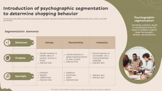 Introduction Of Psychographic Segmentation Strategic Guide For Market MKT SS V