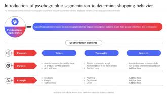 Introduction Of Psychographic Segmentation To Determine Target Audience Analysis Guide To Develop MKT SS V