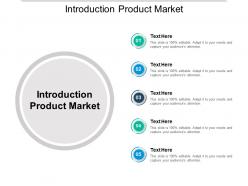 Introduction product market ppt powerpoint presentation slides portrait cpb