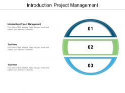 Introduction project management ppt powerpoint presentation summary model cpb