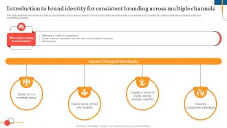Introduction To Brand Identity General Insurance Marketing Online And Offline Visibility Strategy SS