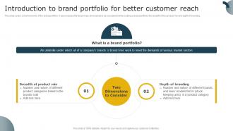 Introduction To Brand Portfolio For Better Customer Reach Aligning Brand Portfolio Strategy With Business