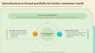 Introduction To Brand Portfolio For Better Customer Reach Making Brand Portfolio Work