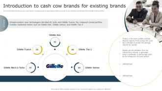Introduction To Cash Cow Brands For Existing Brands Aligning Brand Portfolio Strategy With Business