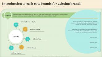 Introduction To Cash Cow Brands For Existing Brands Making Brand Portfolio Work