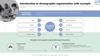 Introduction To Demographic Segmentation Micromarketing Strategies For Personalized MKT SS V