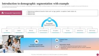 Introduction To Demographic Segmentation With Strategic Micromarketing Adoption Guide MKT SS V