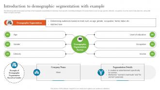 Introduction To Demographic Segmentation With Understanding Various Levels MKT SS V