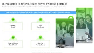Introduction To Different Roles Played By Brand Portfolio Ppt File Infographics