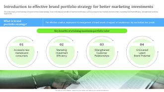 Introduction To Effective Brand Portfolio Strategy For Better Marketing Investments