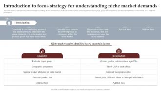 Introduction To Focus Strategy For Understanding Process To Setup Brilliant Strategy SS V