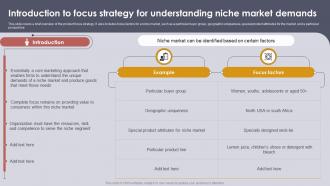 Introduction To Focus Strategy Setting Strategic Vision For Product Offerings Strategy SS V