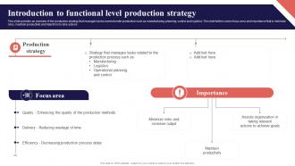 Introduction To Functional Level Production Strategy Organization Function Strategy SS V