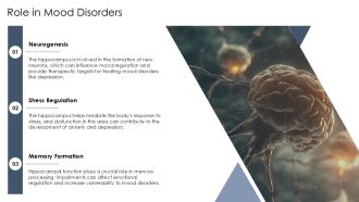 Introduction To Hippocampus Anatomy PPT Slides AT Adaptable Interactive