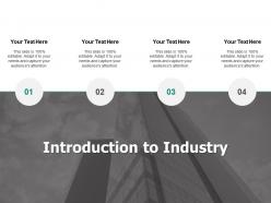 Introduction to industry audience attention ppt powerpoint presentation slides